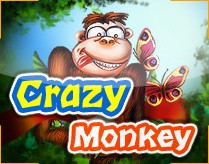Craz monkey